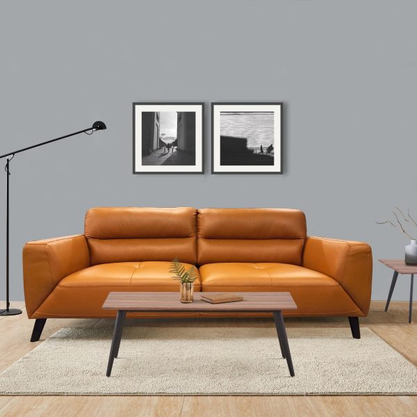 Downy  Genuine Leather Sofa 2 Seater Upholstered Lounge Couch – Tangerine