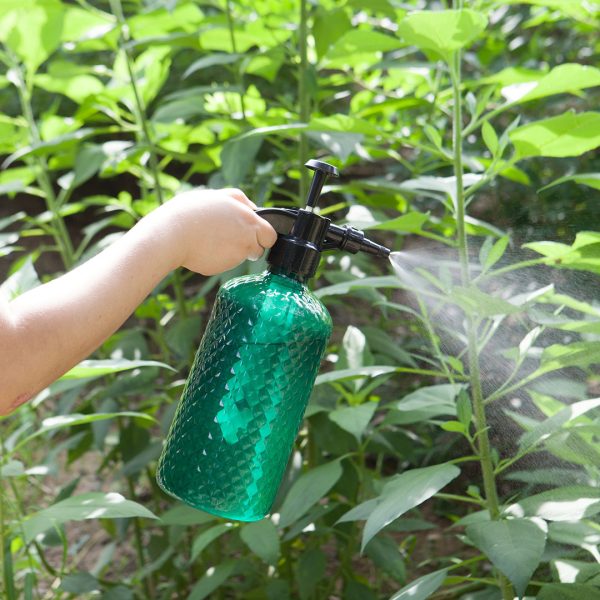 2 Liter Mist Water Spray Bottle Hand Held Pressure Adjustable Nozzle with Top Pump Indoor Outdoor Gardening