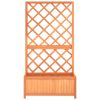 Garden Trellis Planter 70x30x135 cm Solid Firwood – Brown