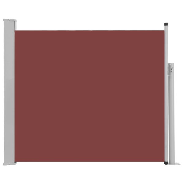 Patio Retractable Side Awning 100×300 cm – 100×300 cm, Brown