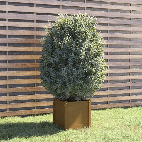 Garden Planter 40x40x40 cm Solid Pinewood – Honey Brown, 1