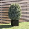 Garden Planter 40x40x40 cm Solid Pinewood – Black, 1