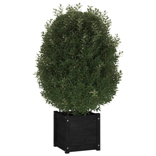 Garden Planter 40x40x40 cm Solid Pinewood – Black, 1