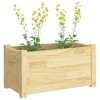 Garden Planter 60x31x31 cm Solid Pinewood – Brown, 1