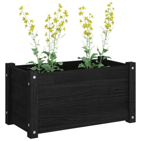 Garden Planter 60x31x31 cm Solid Pinewood – Black, 1