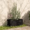 Garden Planter 100x50x50 cm Solid Pinewood – Black, 1