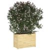 Garden Planter 100x50x70 cm Solid Pinewood – Brown