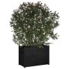 Garden Planter 100x50x70 cm Solid Pinewood – Black
