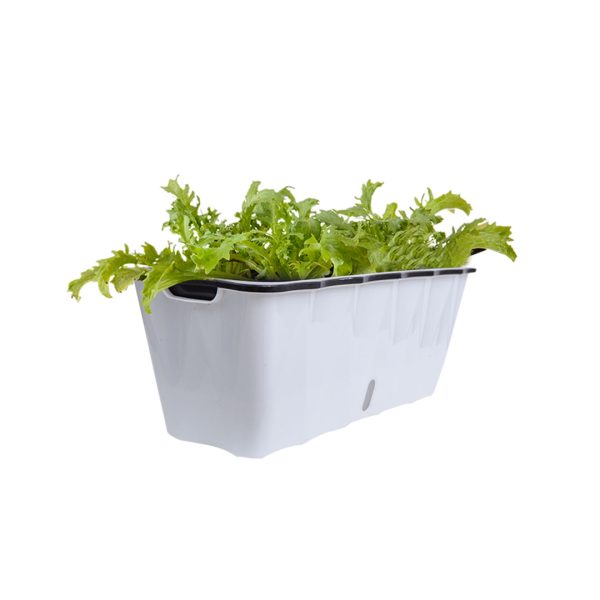 Rectangular Flowerpot Vegetable Herb Flower Outdoor Plastic Box Garden Decor