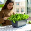 49.5cm Rectangular Planter Vegetable Herb Flower Outdoor Plastic Box with Holder Balcony Garden Décor