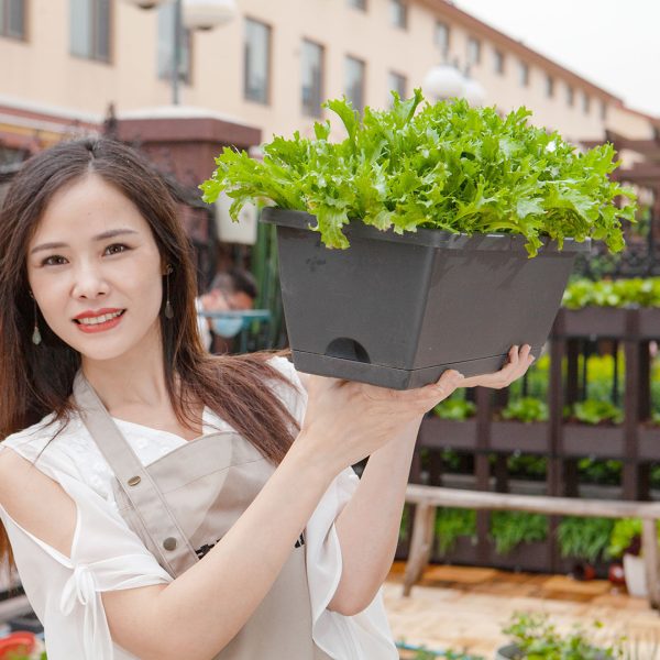 49.5cm Rectangular Planter Vegetable Herb Flower Outdoor Plastic Box with Holder Balcony Garden Décor