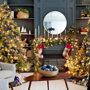 Seasonal & Holiday Decorations