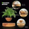 GOMINIMO Magnetic Levitating Plant Pot Oak GO-MLP-108-HCNT