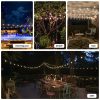 Festoon String Lights Kits Christmas Wedding Party Waterproof outdoor – 10M 10 Lights