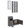 Hallway Unit 100x25x76.5 cm Engineered Wood – High Gloss Grey