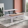 Coffee Table High Gloss Finish Lift Up Top MDF White Ash Colour Interior Storage