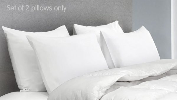 Duck Down Feather Pillow Twin Set – 1.3kg
