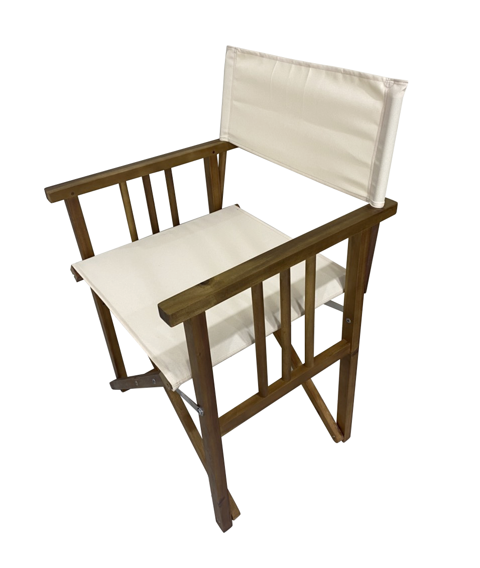 Folding Directors Chair